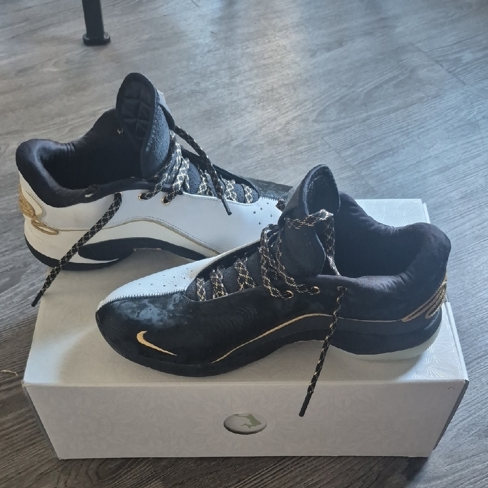 Nike LeBron XXII "Mogul" Basketball Shoes - Men's 12 (HV8454-100)